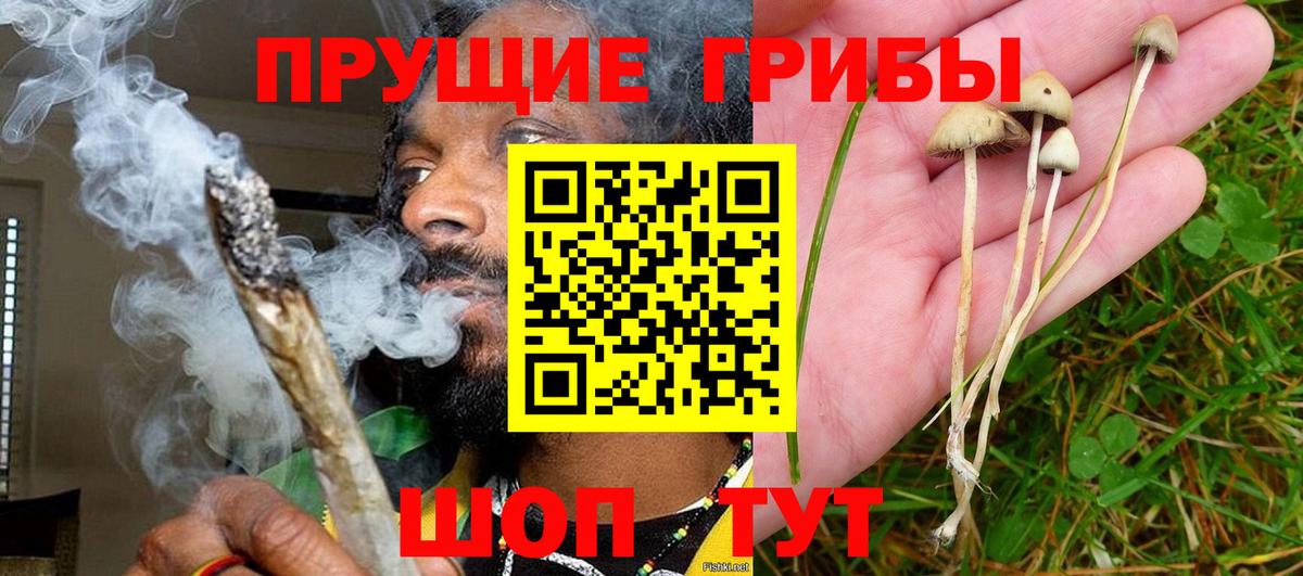 Галлюциногенные грибы Cubensis  Вход с VPN  Урюпинск 